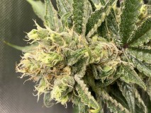 38CA9C25-A2EB-498B-8389-1CF81D9BA590