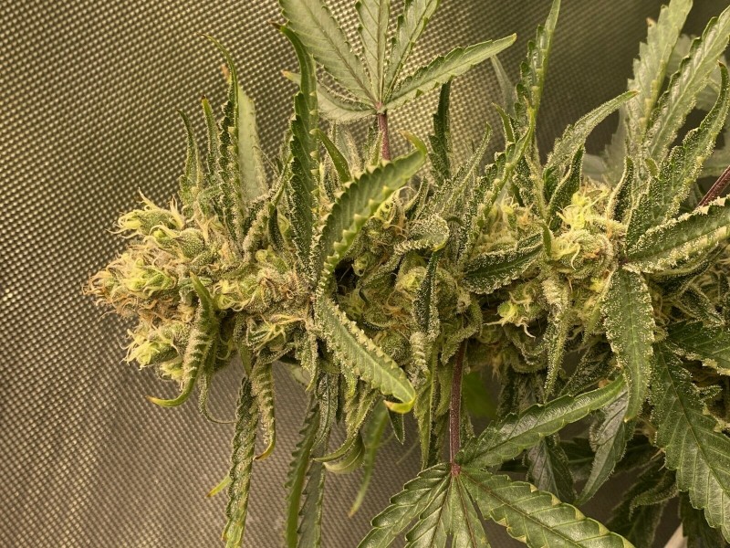 DDFA7B56-21F9-4215-B753-0D22699437B2