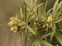 DDFA7B56-21F9-4215-B753-0D22699437B2