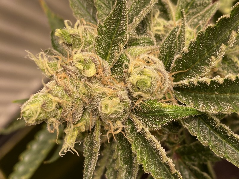 EEC5383C-64AD-4FE1-A453-FAC21282FA8E