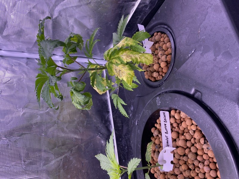 69451084-B9DB-48D3-8263-30C5343E8011