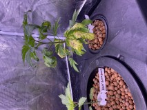 69451084-B9DB-48D3-8263-30C5343E8011