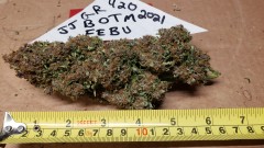 16136723155257276919990010758437