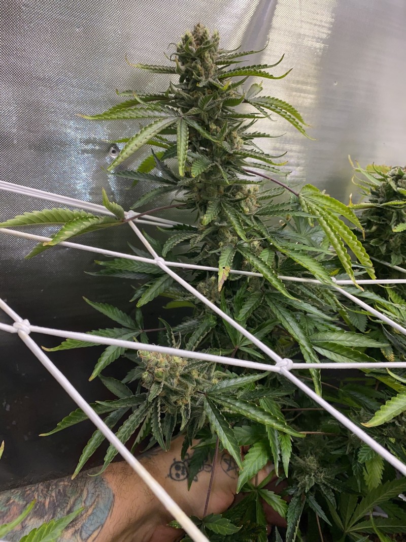 D932B170-8B93-4F13-853D-67704433710E