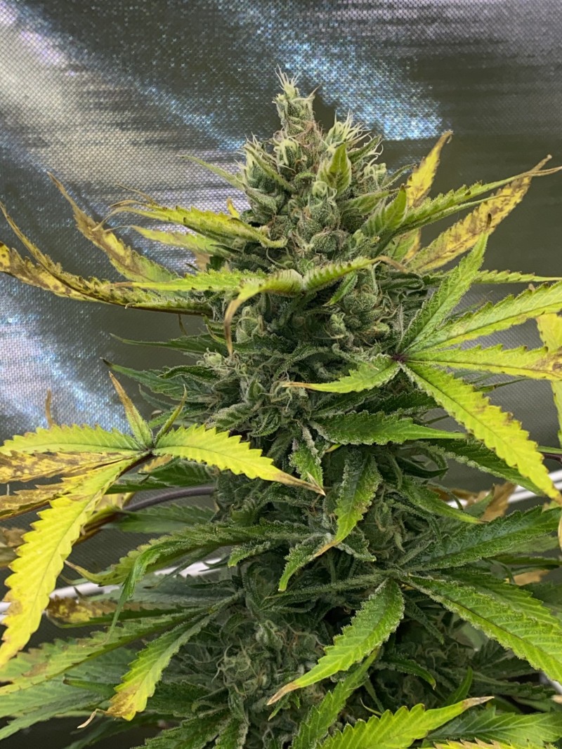 8BC67B0F-762D-4102-BFAA-1CC14ACC96E9