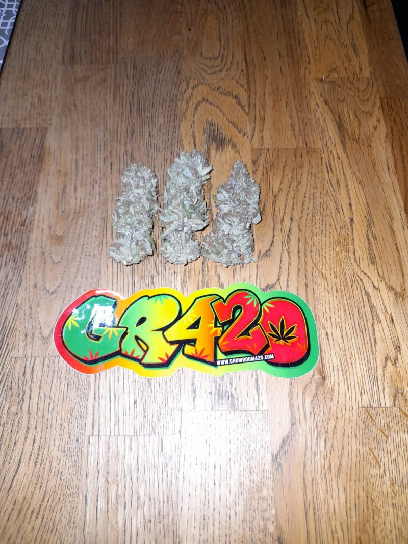 175B1F71-802C-4785-8368-77A4010855C0