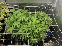 2BE8AB57-A583-4B71-B950-543F44499885