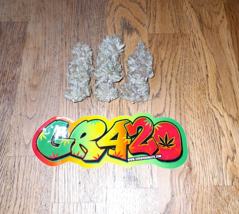 C1465846-ECC6-4734-B35E-63CF143D3FD2