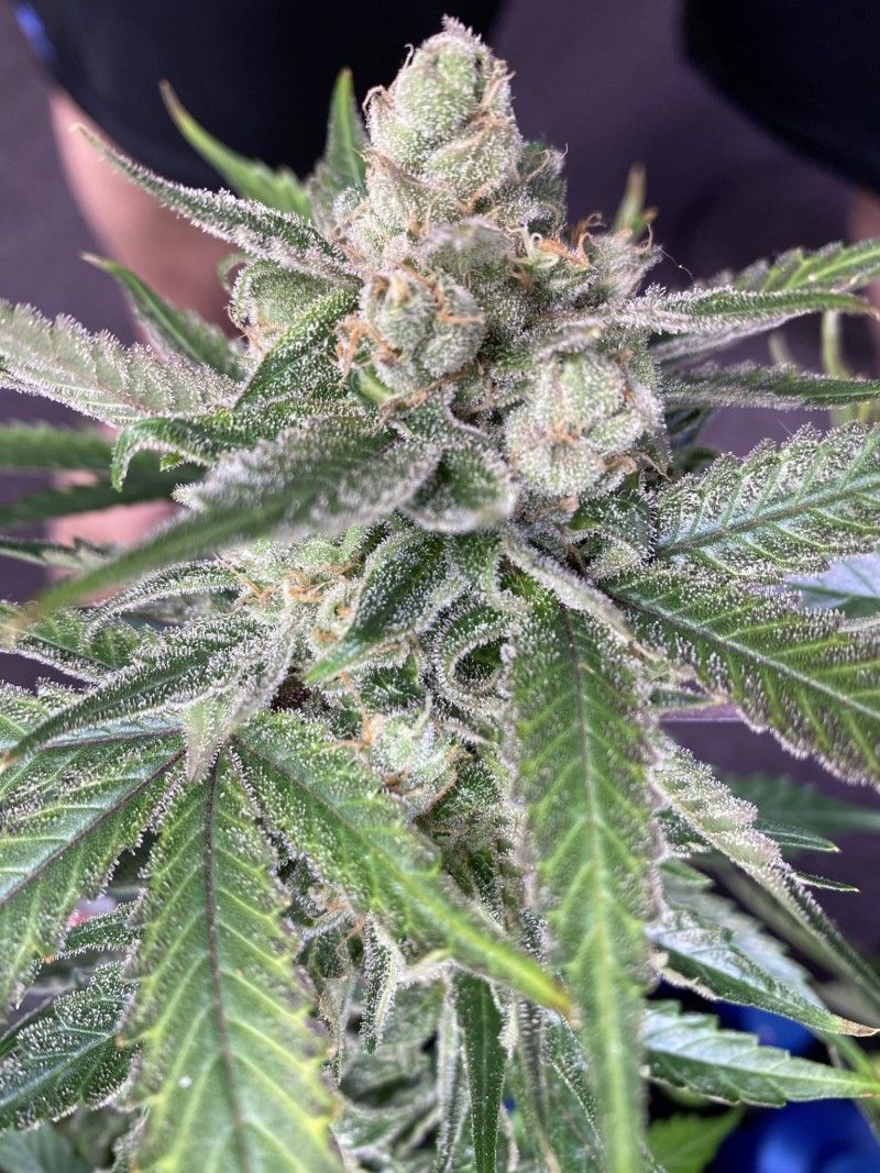 967F6ADC-F426-4AE7-9B90-D6A6B83585E0