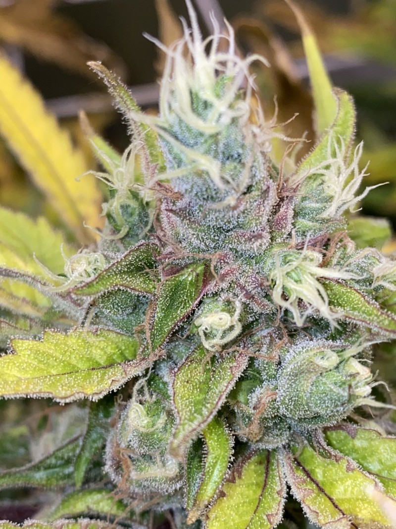 EFDC9C00-0BD9-448A-B5F9-D118922BC37D