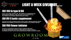 mn LIGHT GIVEAWAY ISH100 ad 1