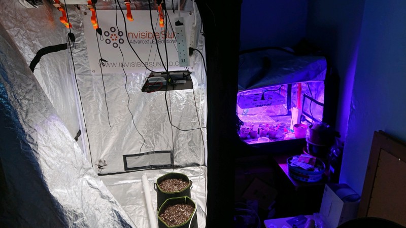 obscura1614188462725