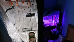 obscura1614188462725