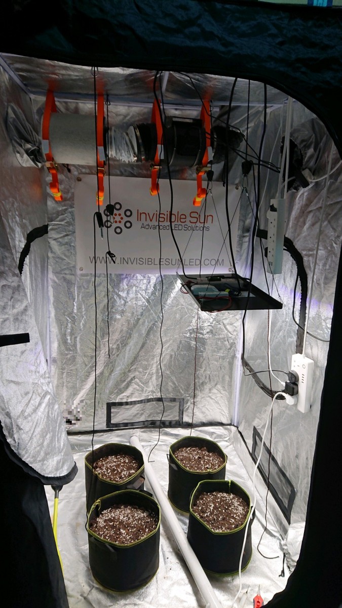 obscura1614269789616