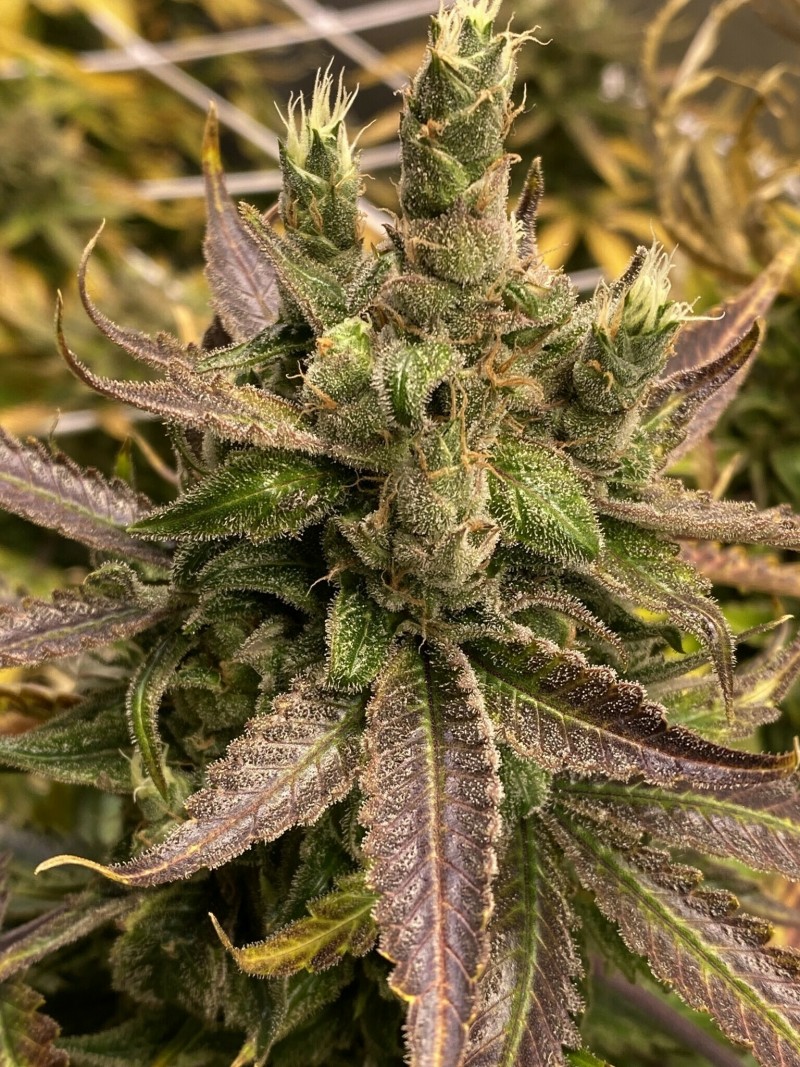 BC0B2CA4-9875-4EA3-827F-A13DC97DAEC3