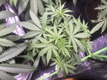 6B1731B6-B893-4B3C-A86B-12EC641B99E6