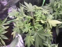 24501542-0467-4A80-B2E1-1E130C7E48AC