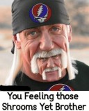 97F11377-C59B-440B-AF4A-3141E7F127B5