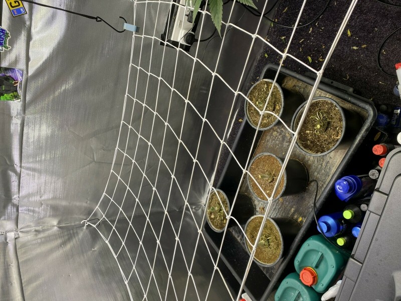 02D38D94-60F2-4243-8059-D79F33BC3D40