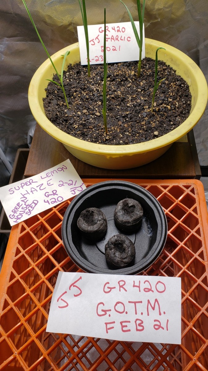 16144420175608875084973239459484