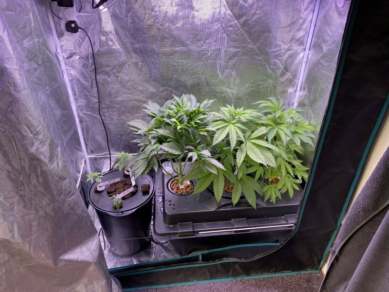 D1710AE3-F339-4EEB-8AA5-C4877F395DDB