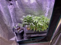 D1710AE3-F339-4EEB-8AA5-C4877F395DDB