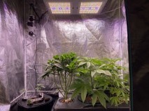 1343ACAF-2F8E-4966-99FA-75EAD079506B