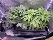 956E6B22-F2EC-4237-AAF7-930531371041