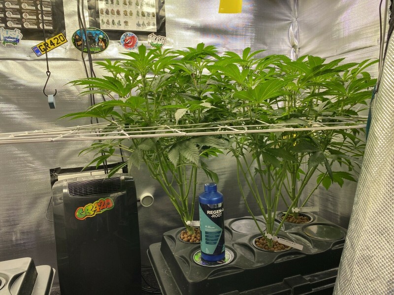 BFF48781-5F9A-4489-90D4-CD7E06723078