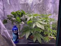 B5C3A02C-0CB8-4671-8809-C6030C81EED3