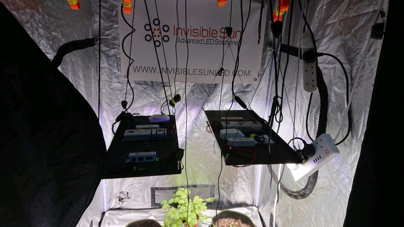 obscura1614698061847