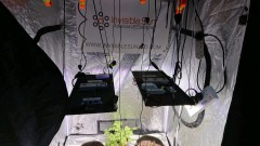 obscura1614698061847