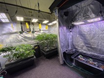 A3F3C2EB-606B-4950-912D-567A287DA194