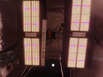 obscura1614713905297