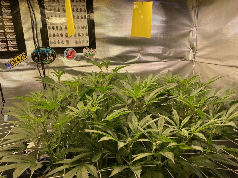 3CA956B3-AC67-43F1-A7D9-5E7AE91C8402