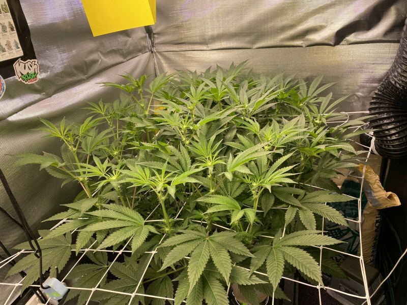 E9597E56-CE6F-43D6-AA26-E28C3B60645F