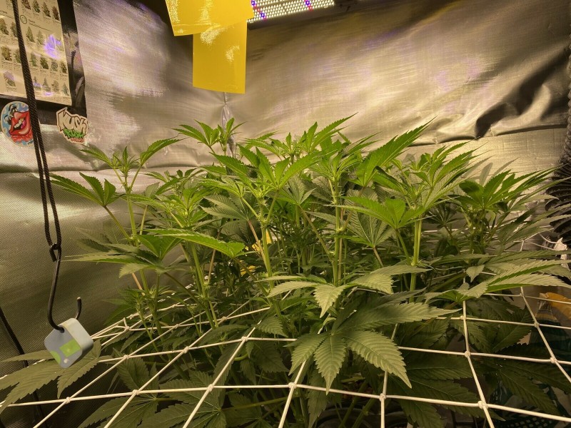 173DF23A-1577-4B4C-865D-E0E57FF813FC