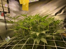 173DF23A-1577-4B4C-865D-E0E57FF813FC