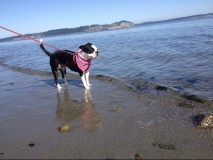 3F43AAE9-D497-4DE5-B601-532DDC803E13