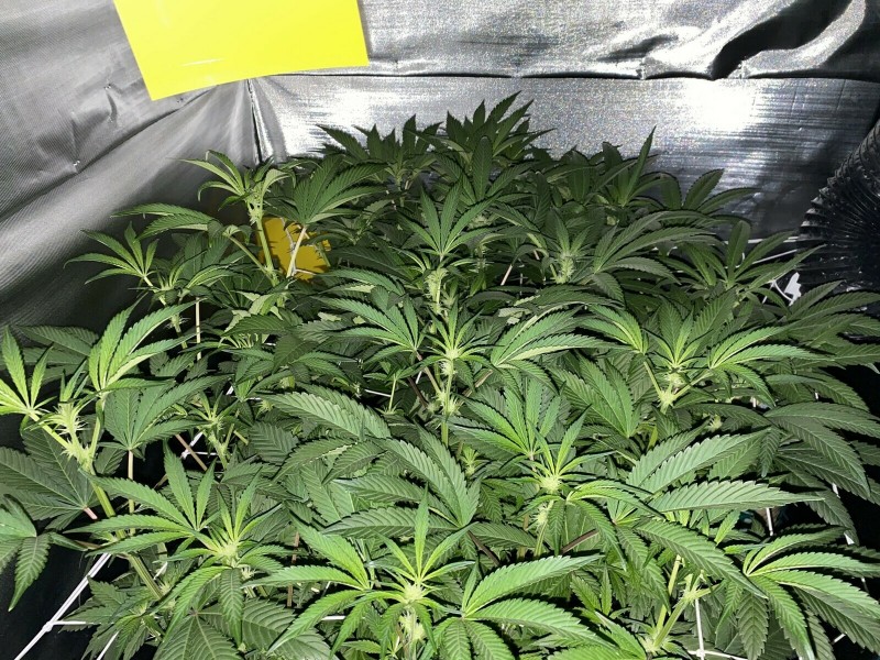 D9F3ADB8-B105-4570-BD09-FA54A862C284