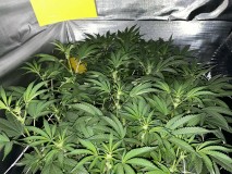 D9F3ADB8-B105-4570-BD09-FA54A862C284