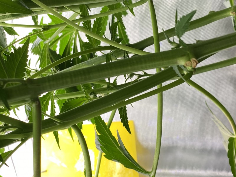 E4509801-0B47-4640-A544-4D46A3C88547