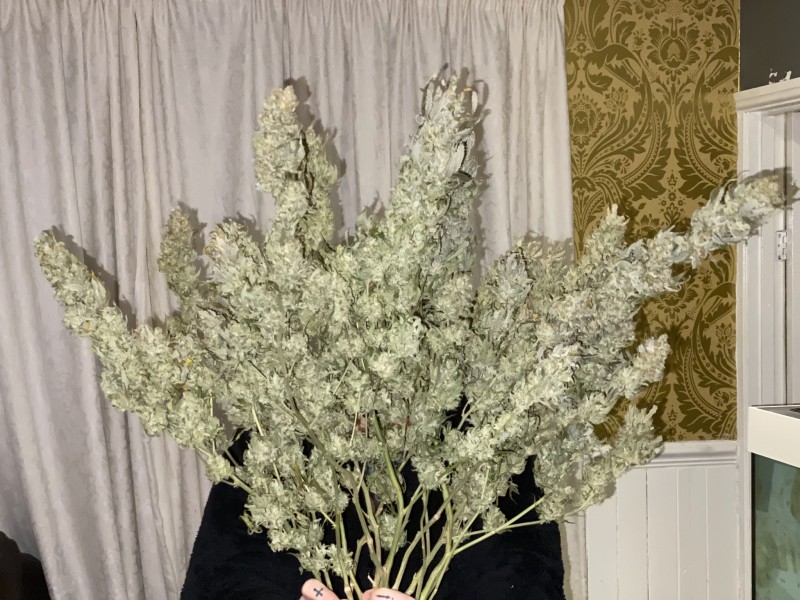 733F68CB-E695-47BD-9F76-8A34E7C000C7