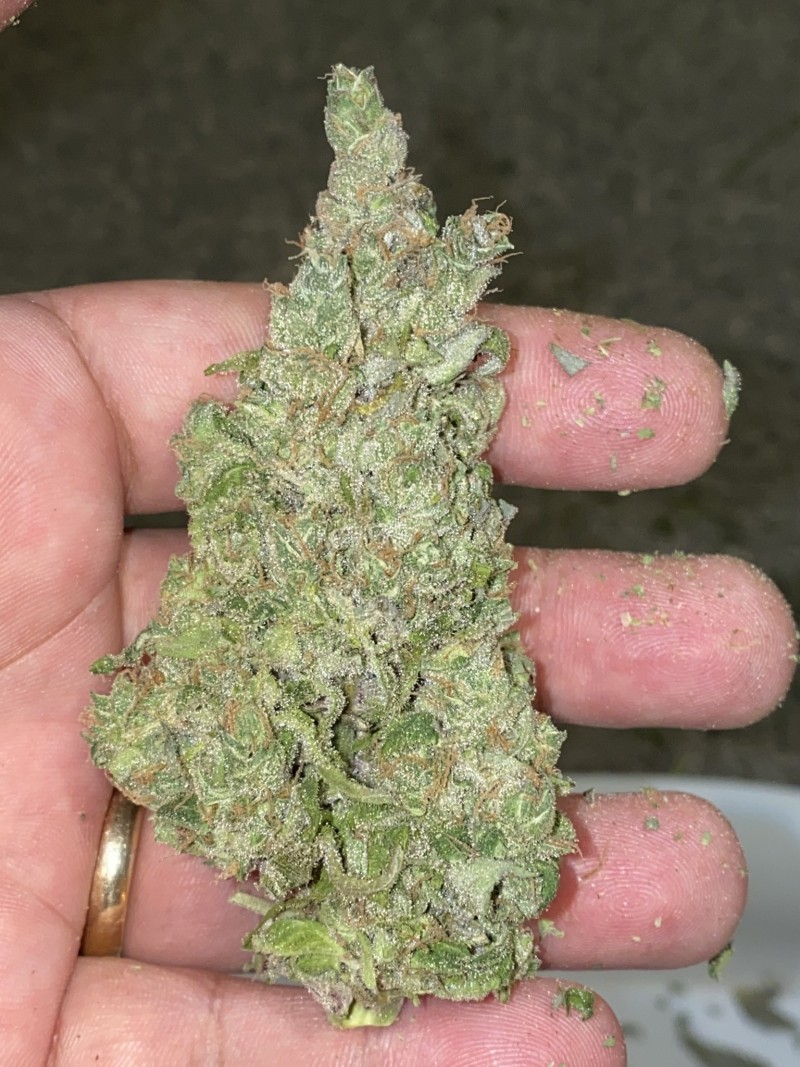 A137FC73-B253-425E-BD85-9E1A7E25E123