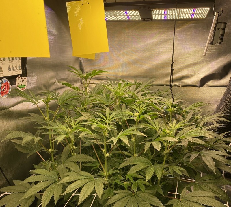 28C0AFC1-6834-4F1A-B8EC-67CCF50CFC78