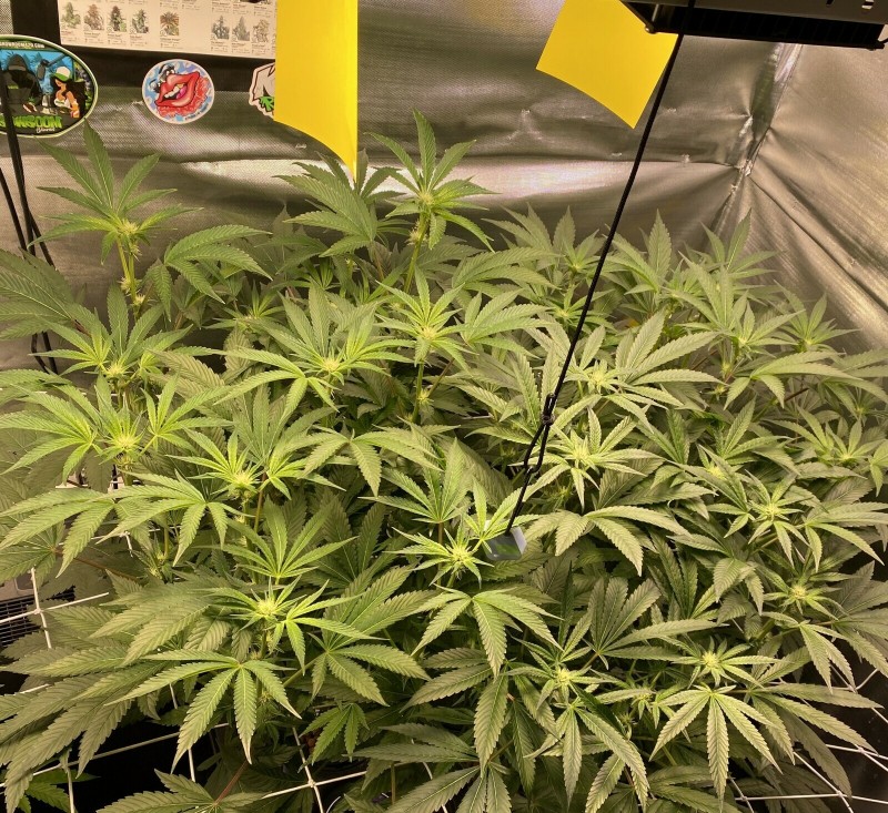 68452AF2-8B6B-4372-A339-F402E57E3C3C