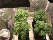 D077B964-AECB-4125-8B31-BF75E7102622