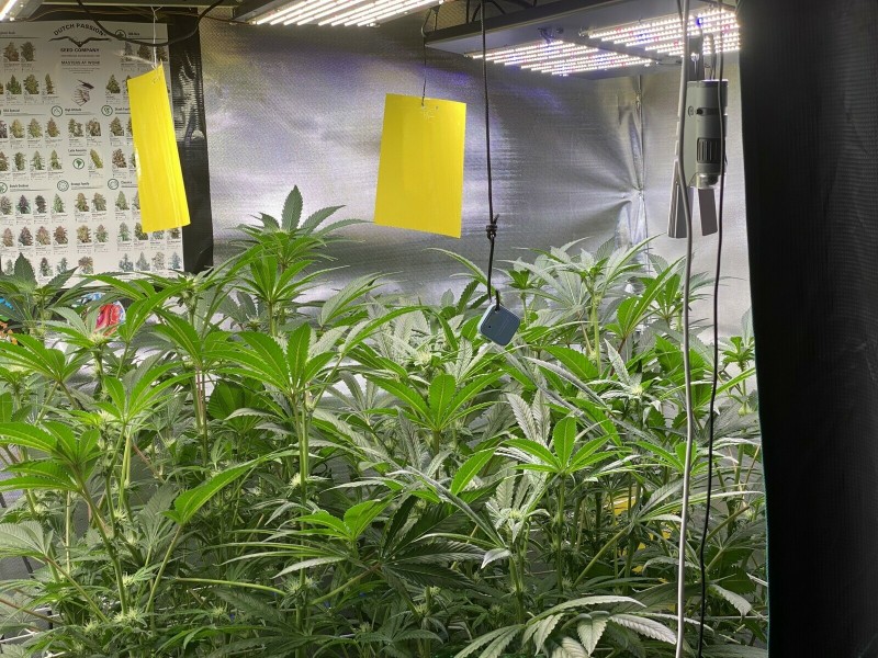 BF807CB8-9389-4D89-867E-24F97633C0DC