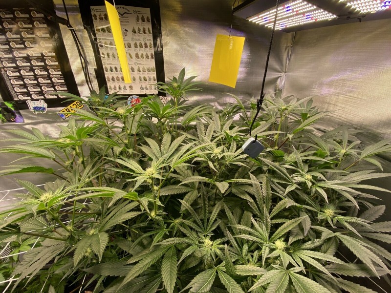 5D80D69D-89C3-473D-A8B8-6B1FA4277B6C