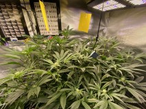 5D80D69D-89C3-473D-A8B8-6B1FA4277B6C